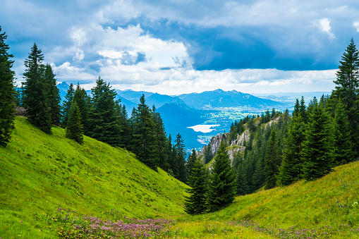 Germany, Tegelberg mountain view from peak in allgaeu bavarian nature landscape valley and lake with colorful alps flowers