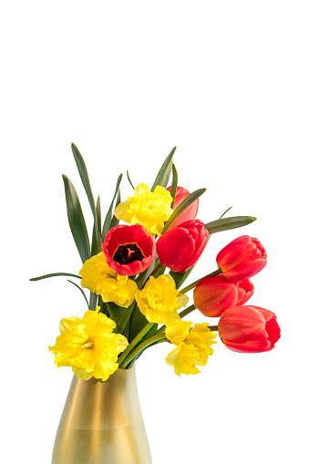 Bouquet of flowers (tulips and daffodils) in a golden vase isolated on a white background. Space for copy.