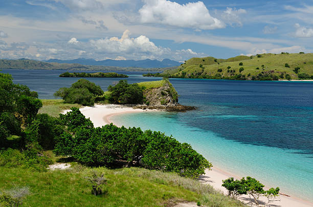 istock Indonesia, Flores, Komodo National Park 136621063