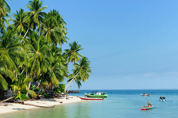 istock Indonesia, Derawan island, East Kalimantan 136621080