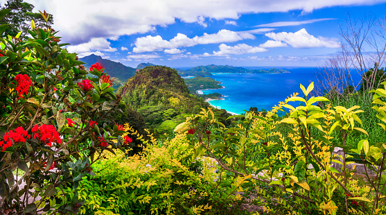 Exótico paisaje tropical. Isla de Mahe, Seychelles vacaciones relajantes photo