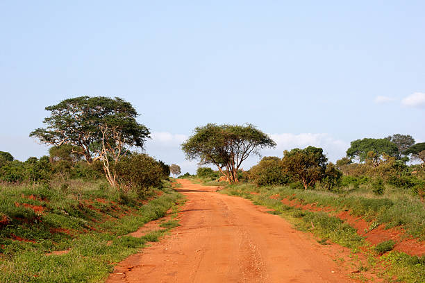 istock Safari track in Kenya 136621337
