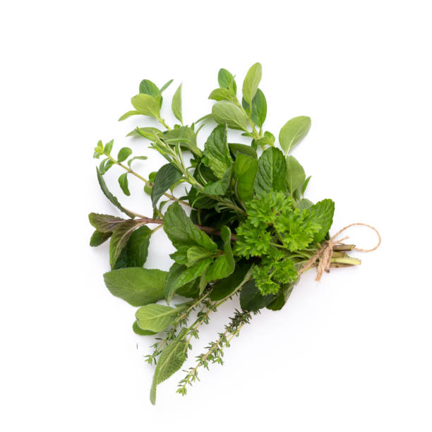 istock Spice herbal leaves and chili pepper on white background. Vegetables pattern. Floral and vegetables on white background. Top view, flat lay. 1366213545