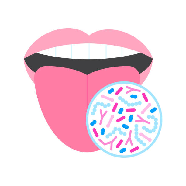 Oral microbiome. Healthy probiotic bacteria in human mouth. Oral microbiome. Healthy probiotic bacteria in human mouth. Tooth and tongue microbiota - lactobacillus, streprococcus. probiotic pattern stock illustrations