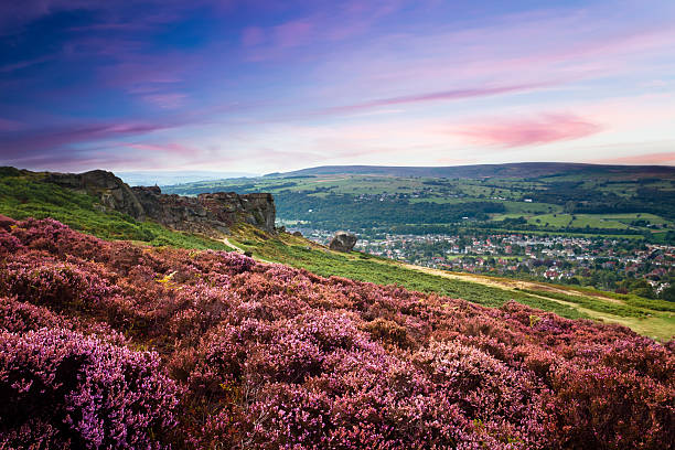 Sunset over a village and a hill of purple heather A wonderful evening over Ilkley west yorkshire stock pictures, royalty-free photos & images