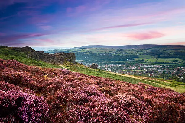 Photo of Sunset over a village and a hill of purple heather