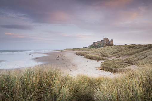 Bamburgh beach, sand dunes with marram grass and castle at sunset with a pretty pink sky in winter time