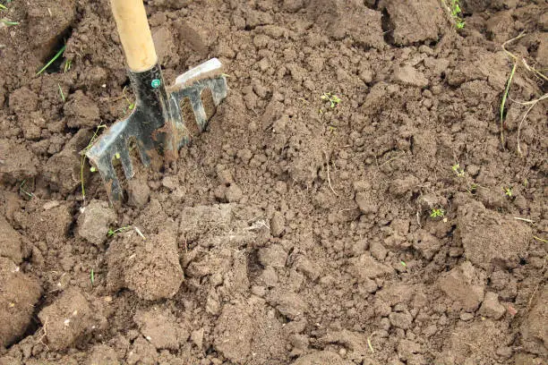 Photo of The spade stuck into the ground. Close-up. Background.