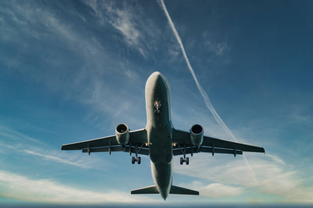 istock Landing commercial airplane 1366218892
