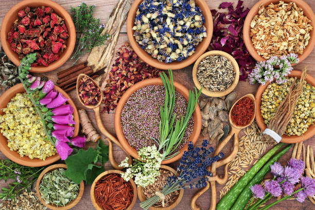 istock Herbal Plant Medicine for Natural Healing Medication 1366219447