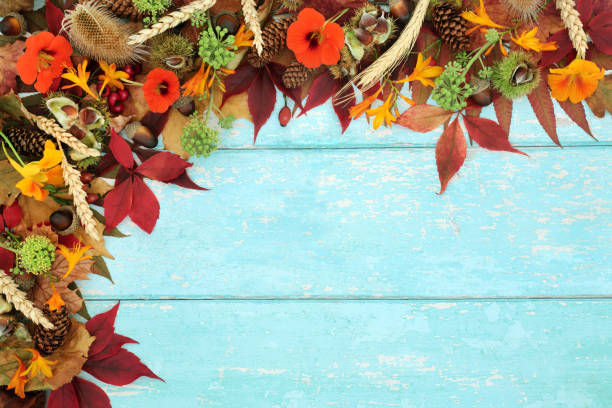 fondo natural de otoño sobre madera rústica - equinoccio de otoño fotografías e imágenes de stock