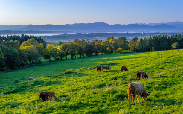View from the Ilkahöhe near Tutzing, Lake Starnberg, Fuenfseenland, Upper Bavaria, Bavaria, Germany, Europe\