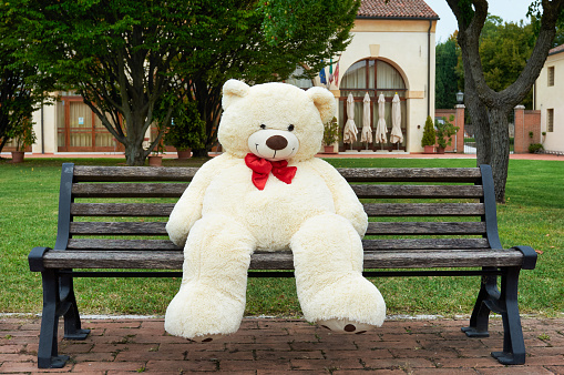 Plush polar bear sits on a bench. Big teddy bear outside. An unexpected surprise for a boy or girl. Life size doll. Valentine day