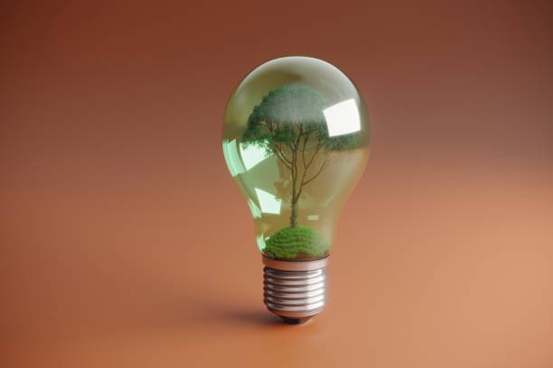 istock Tree in light bulb, Sustainable Energy Concept 1366226465