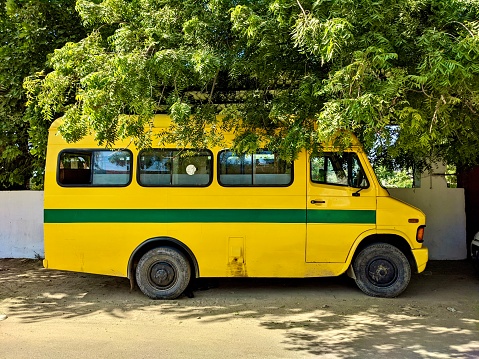 Raining tree on yellow traveller