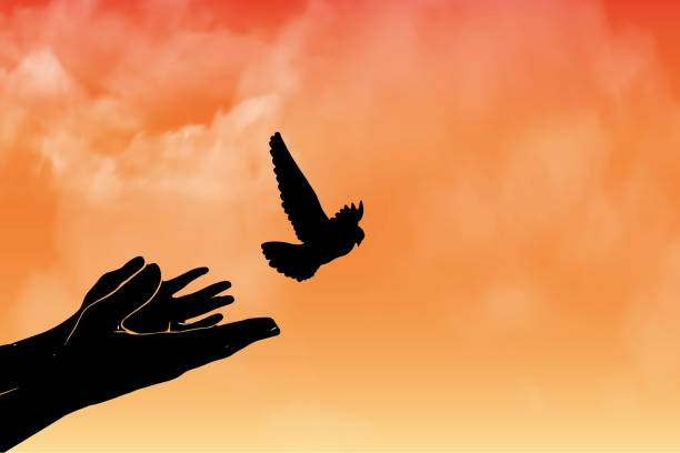 istock vector illustration of birds flying from an open hand for freedom, freedom concept, Concept of liberty found, hope concept, bird set free. 1366230298