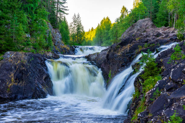 istock Beautiful landscape with waterfall in northern forest on summer evening. Powerful stream of water among stone rocks and green foliage. Kivach waterfall at Suna river in Karelia, Russia 1366230496