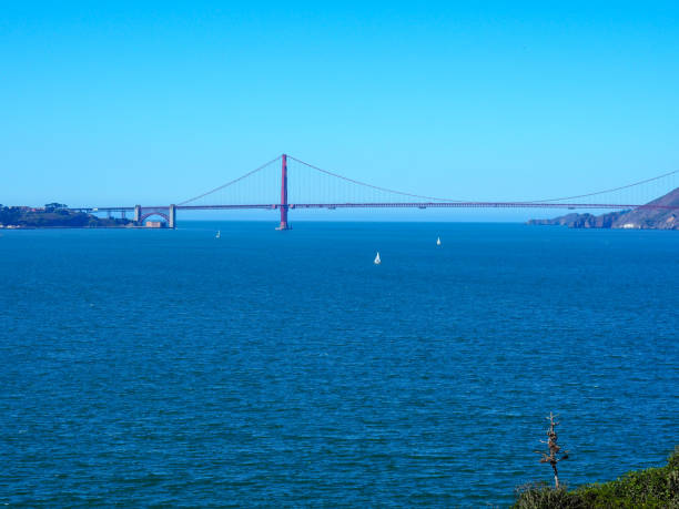 istock Golden Gate Bridge, San Francisco, California USA 1366231629