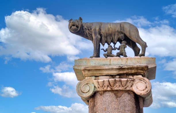 lupa capitolina replica statua dell'antica origine etrusca accanto a palazzo senatorio in piazza campidoglio nel centro storico di roma in italia - piazza del campidoglio statue rome animal foto e immagini stock