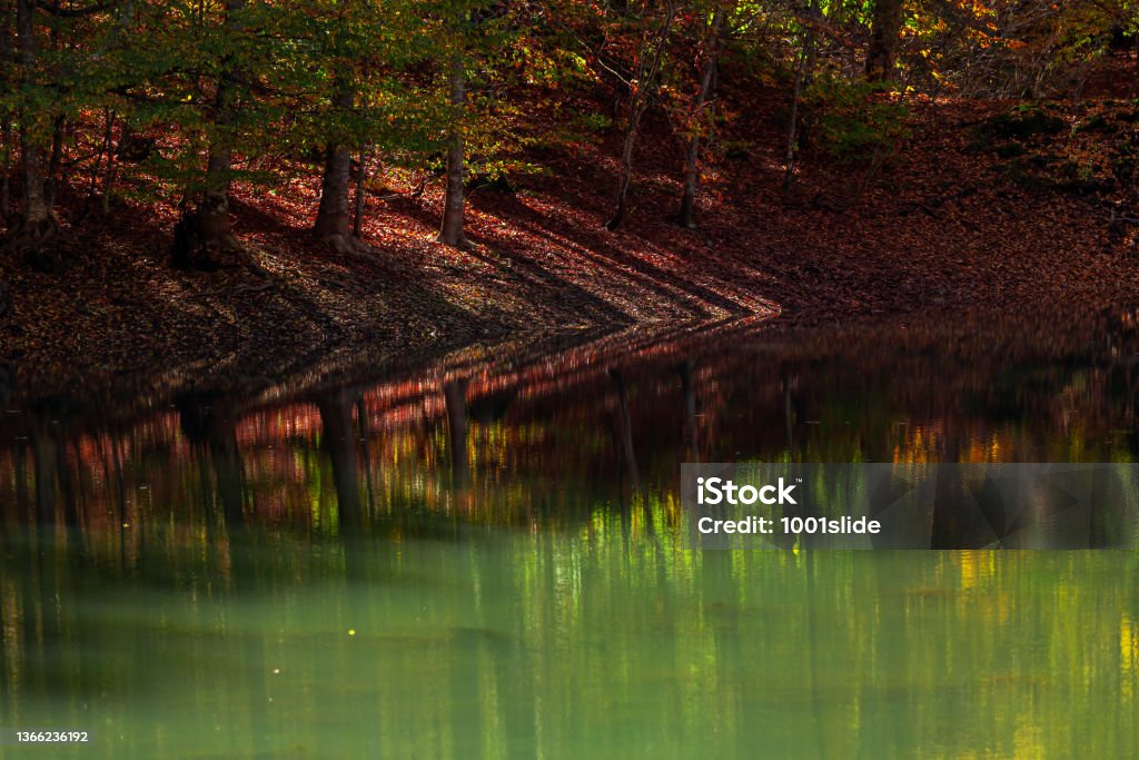 Reflection in the Lake in Autumn Autumn at Yedi Goller (Seven Lakes ) national park Bolu Turkey Aerial View Stock Photo