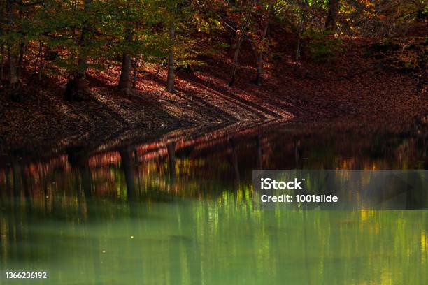 Reflection In The Lake In Autumn Stock Photo - Download Image Now - Aerial View, Atmospheric Mood, Autumn