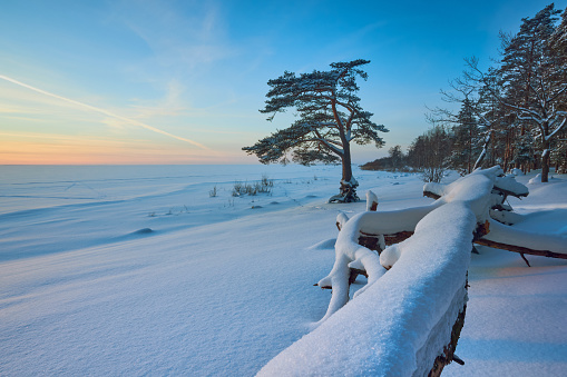 Snow-covered Baltic coast.