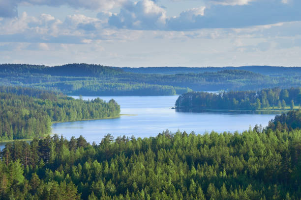 Neitvuori mountain. Summer view from the Neitvuori mountain in Finland to the lake and forest. saimaa stock pictures, royalty-free photos & images