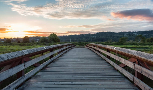 istock Bridge going over a river in a city park. 1366237651