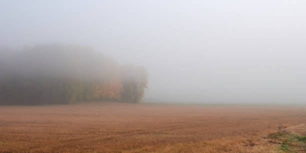 istock Fog in Tuusula in Finland. 1366237690