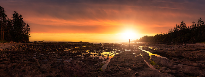 Panoramic View of Botanical Beach on the West Coast of Pacific Ocean. Adult Woman Hiker at Sunset Art Render. Port Renfrew near Victoria, Vancouver Island, British Columbia, Canada.
