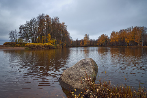 Golden autumn in the park: colorful leaves on the trees, pond, stone, Sestroretsk, Dubki.