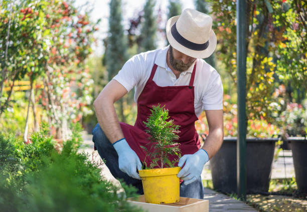 istock Working in the flower garden 1366239310