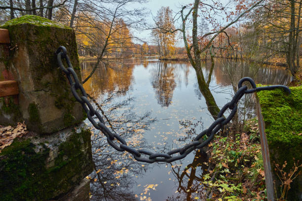 istock Golden autumn in the park. 1366239316