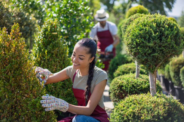 istock Young family gardeners 1366239325