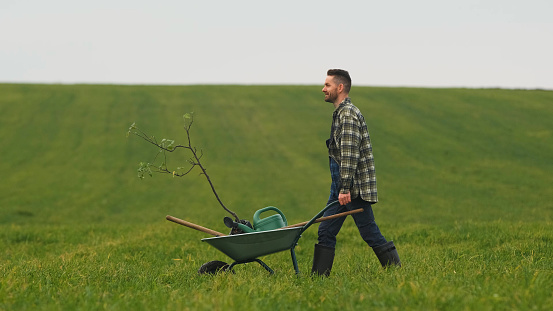 The handsome gardener walking with a wheelbarrow through the field