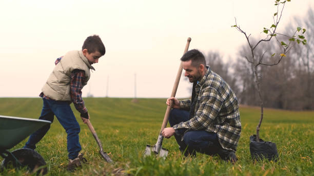 istock The dad and son planting a tree together 1366241506