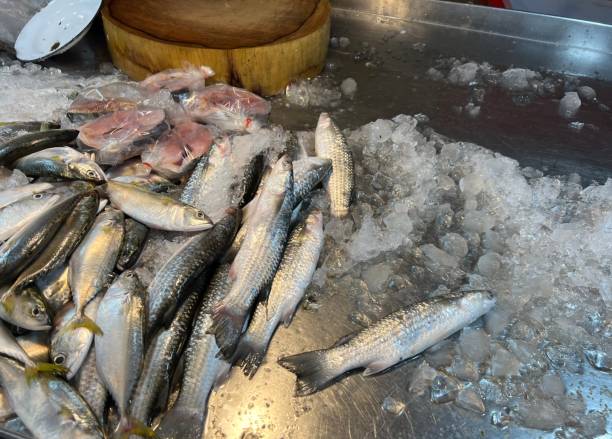 Fresh fish on ice stock photo