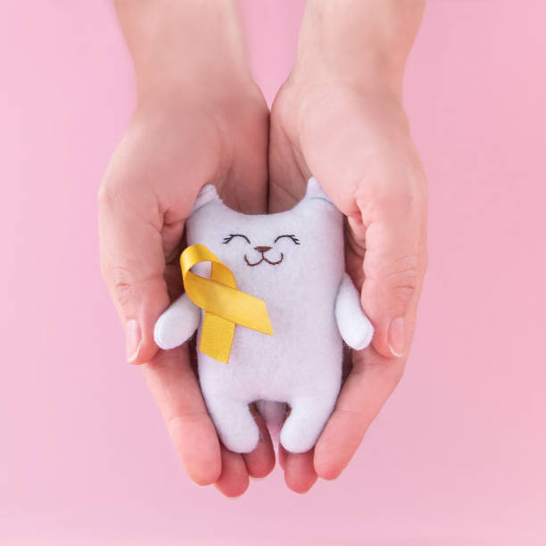 ピンクの背景に小児がんの意識の黄色いリボンを持つ女性の手のひらの白猫。小児がんデー 2月15日 - cat fight ストックフォトと画像