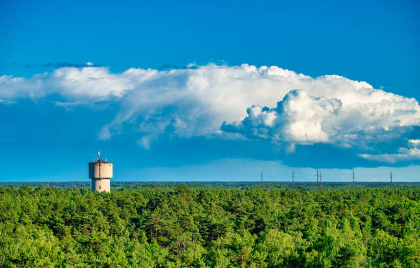 istock Tower above the pine trees on a beautiful sunny day. 1366247102