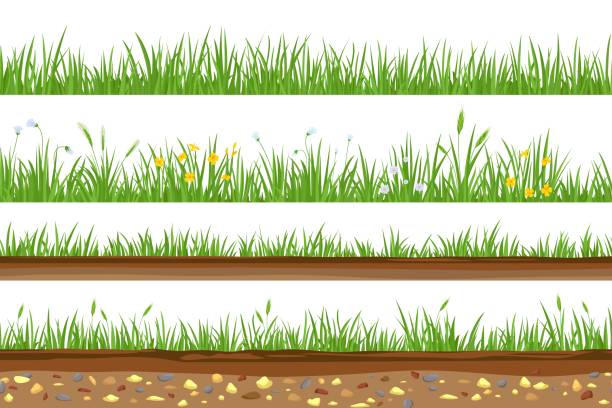 istock Grass with underground soil layer and rocks seamless borders. Meadow field with flowers and ears. Ground dirt, land cross section vector set 1366250250