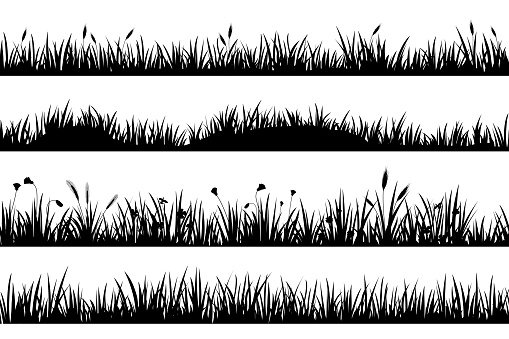 Meadow grass with flowers and spikelets, black silhouettes dividers. Grassland field with tufts. Lawn grass horizontal borders vector set. Springtime floral elements with stems and blossom