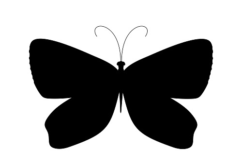 Butterflies silhouette black isolated on white Background