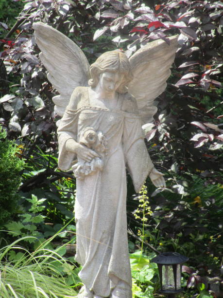 cement reproduction statue of angel amongst foliage in sunny backyard garden