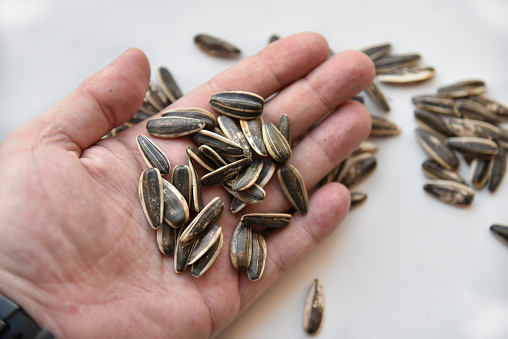 White and black striped sunflower seeds