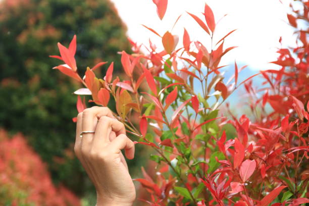 Selective focus of young woman hand - Stock photo