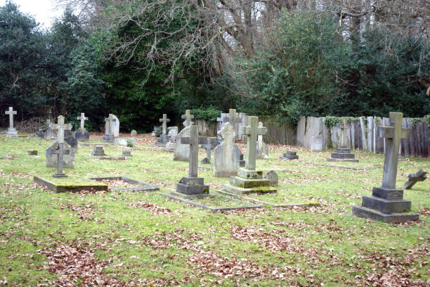 istock Old Graveyard with Broken and Fallen Crosses and Graves in Overgrown Grass Spooky 1366257587