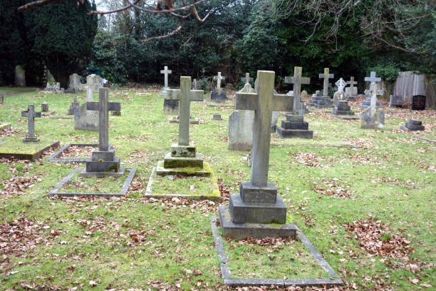 istock Old Graveyard with Broken and Fallen Crosses and Graves in Overgrown Grass Spooky 1366257614