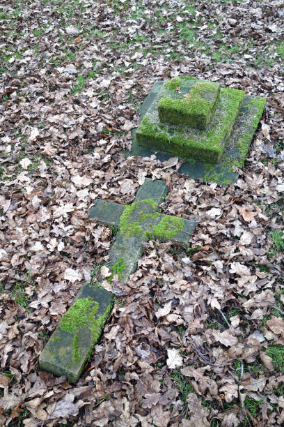 istock Old Graveyard with Broken and Fallen Crosses and Graves in Overgrown Grass Spooky 1366257620