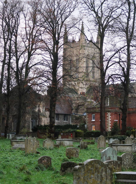 vista de la torre bury st edmunds cathederal a través de un antiguo cementerio y árboles - uk cathedral cemetery day fotografías e imágenes de stock