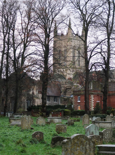 vista della torre cathederal di bury st edmunds attraverso il vecchio cimitero e gli alberi - uk cathedral cemetery day foto e immagini stock